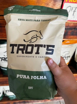 Pura Folha Trots - Folhagem Natural Decorativa