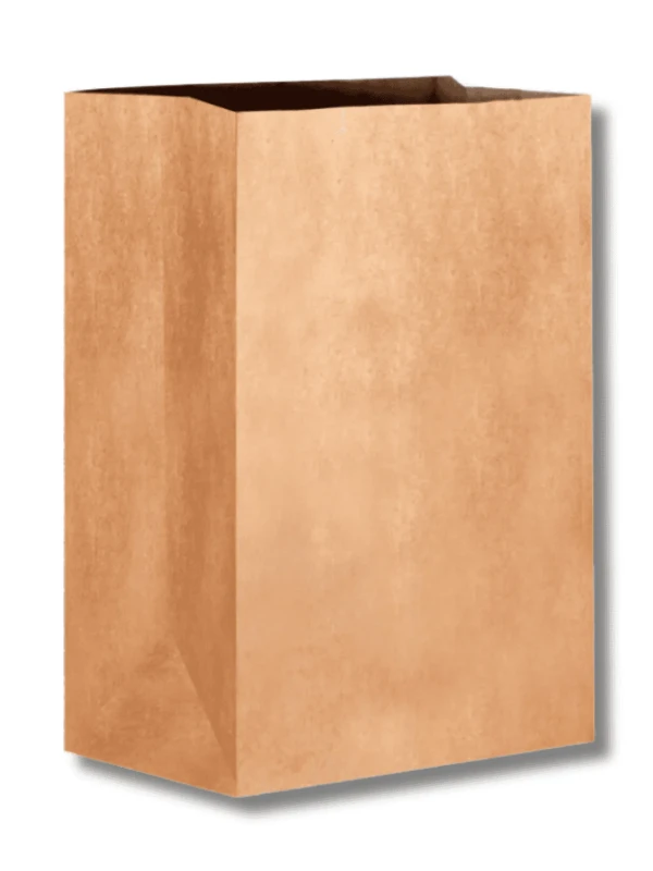 Saco liso kraft