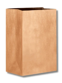 Saco liso kraft