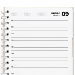 Agenda 1 dia por página
