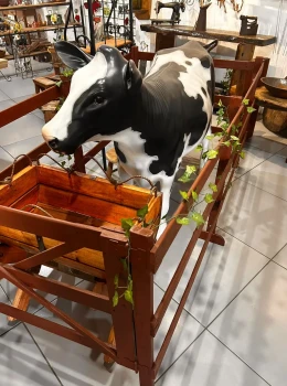 Cerquinha com Porteira e Cocho para Animais Aluguel
