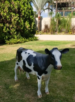 Animais de Fibra para Aluguel Decorativos