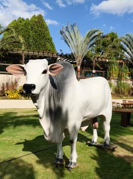 Animais de Fibra para Aluguel Decorativos