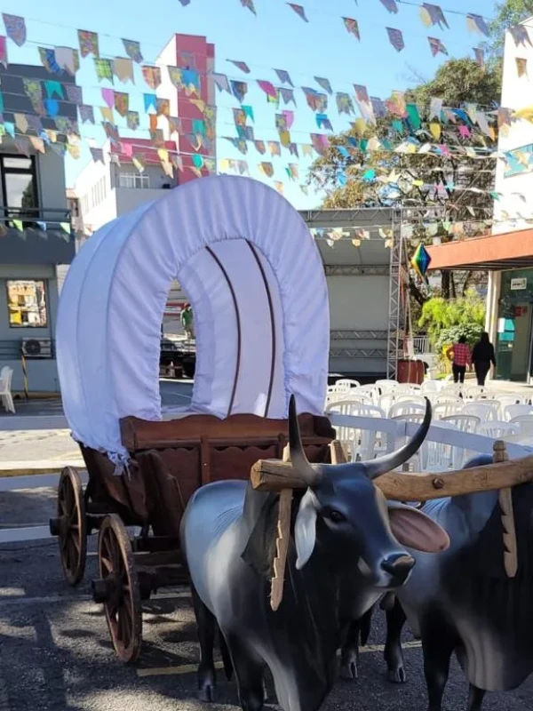 Carroças e carro de boi