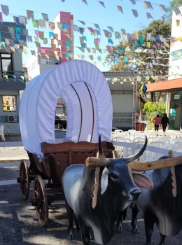 Carroças e carro de boi