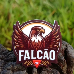 ARGANEL FALCÃO 
