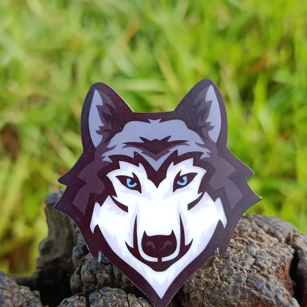 ARGANEL LOBO