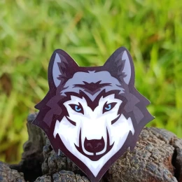 ARGANEL LOBO