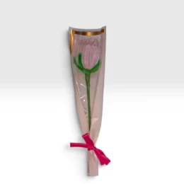 Flores Solitárias