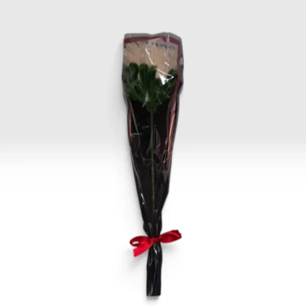 Flores Solitárias