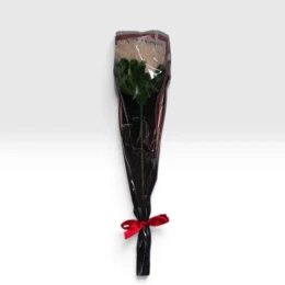 Flores Solitárias