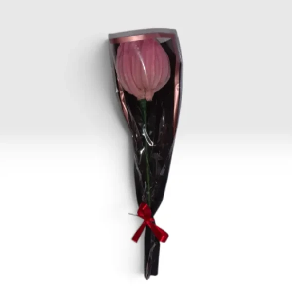 Flores Solitárias