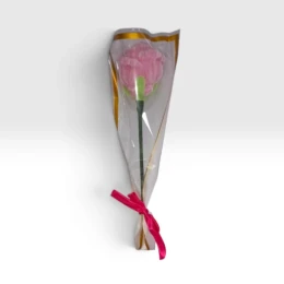 Flores Solitárias