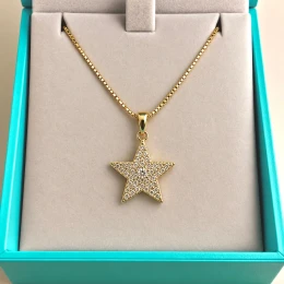 Colar estrela cravejada