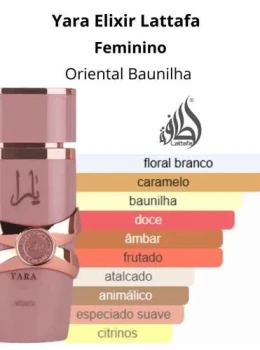 DECANTS perfume arabe 10ml Yara Elixir