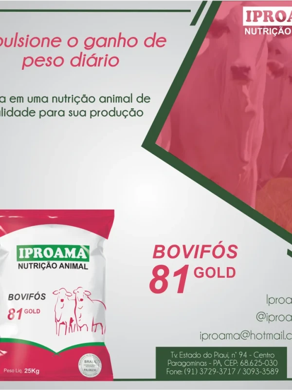 BOVIFOS 81