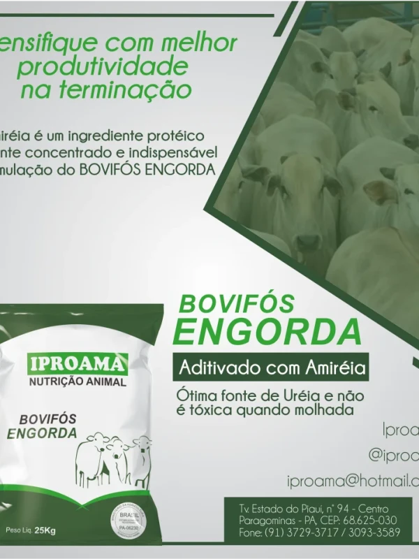 BOVIFOS ENGORDA