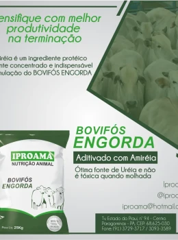 BOVIFOS ENGORDA