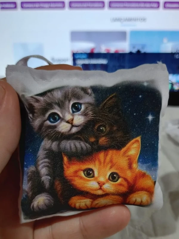 Almochaveiro - Gatos Noite