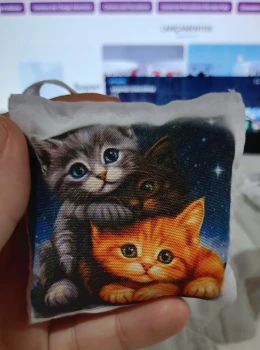 Almochaveiro - Gatos Noite