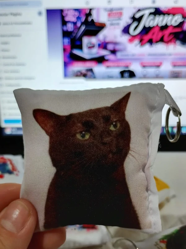Almochaveiro - Gato Preto Meme