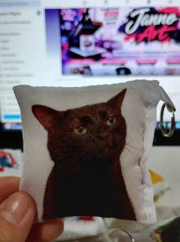 Almochaveiro - Gato Preto Meme