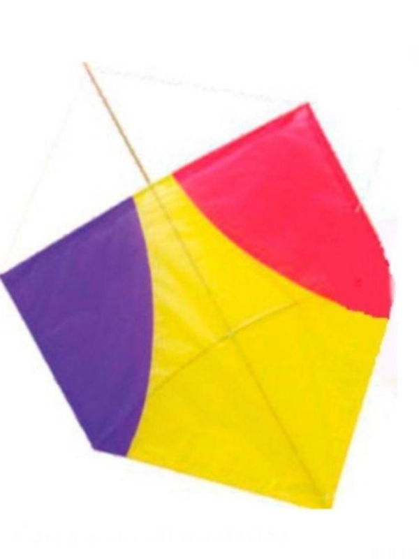 PIPA GIGANTE 50X1