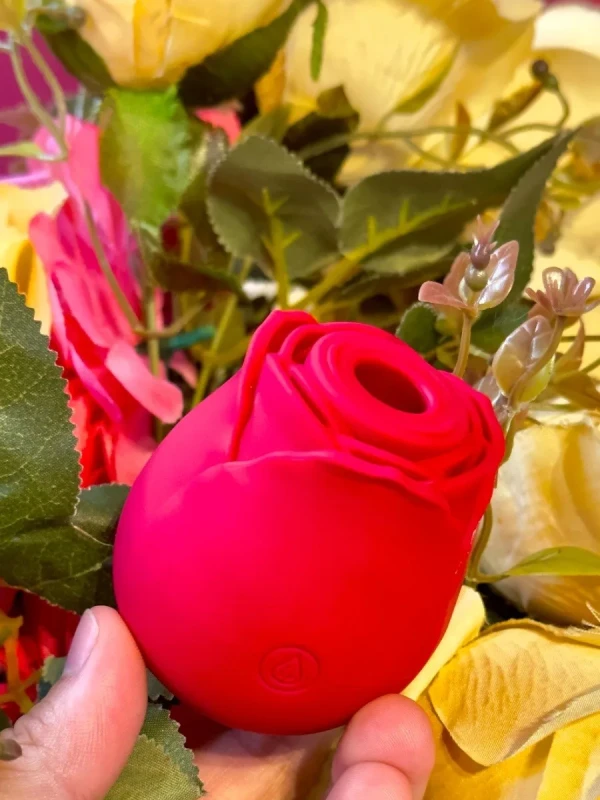 Flawer (Vibrador por ondas de pressão)