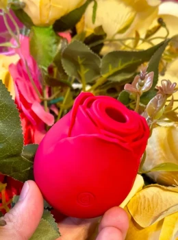 Flawer (Vibrador por ondas de pressão)