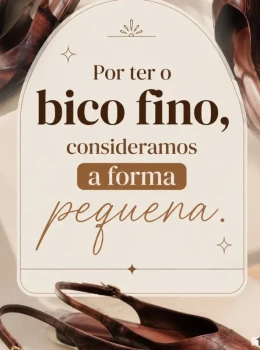 Sapatilha Bico Fino