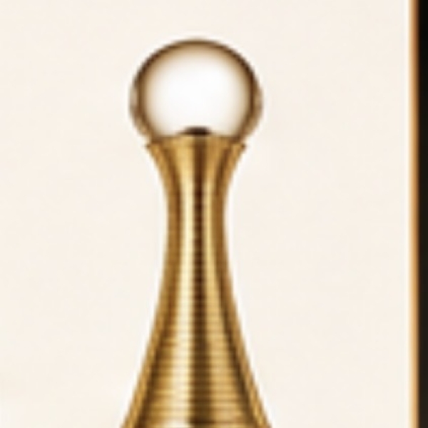 Perfume Jadore Feminino 25ml Original Luxo