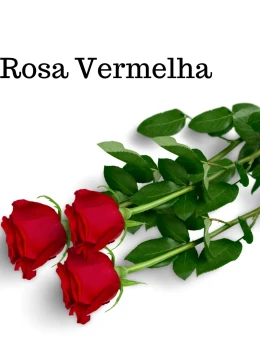 Adicional Rosa Vermelha