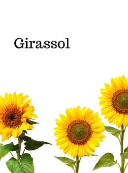 Girassol