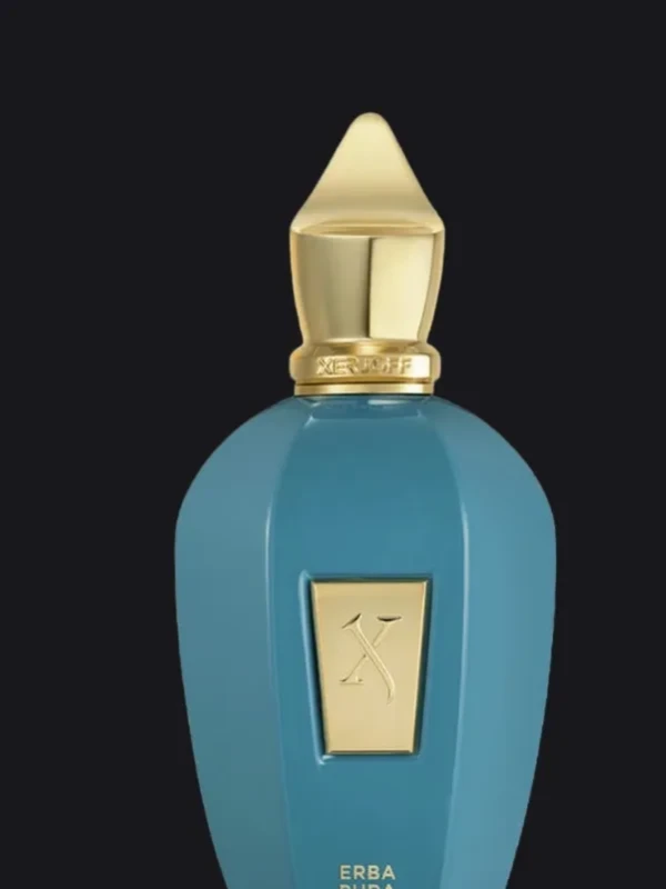 Erba Pura Xerjoff 100ML