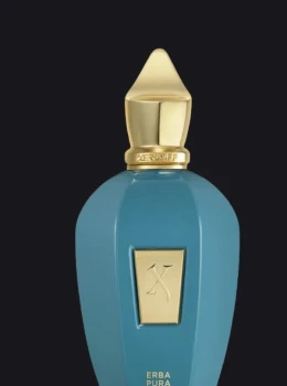 Erba Pura Xerjoff 100ML