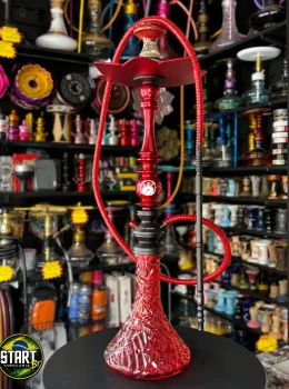 Mani Sultan Dead Pool