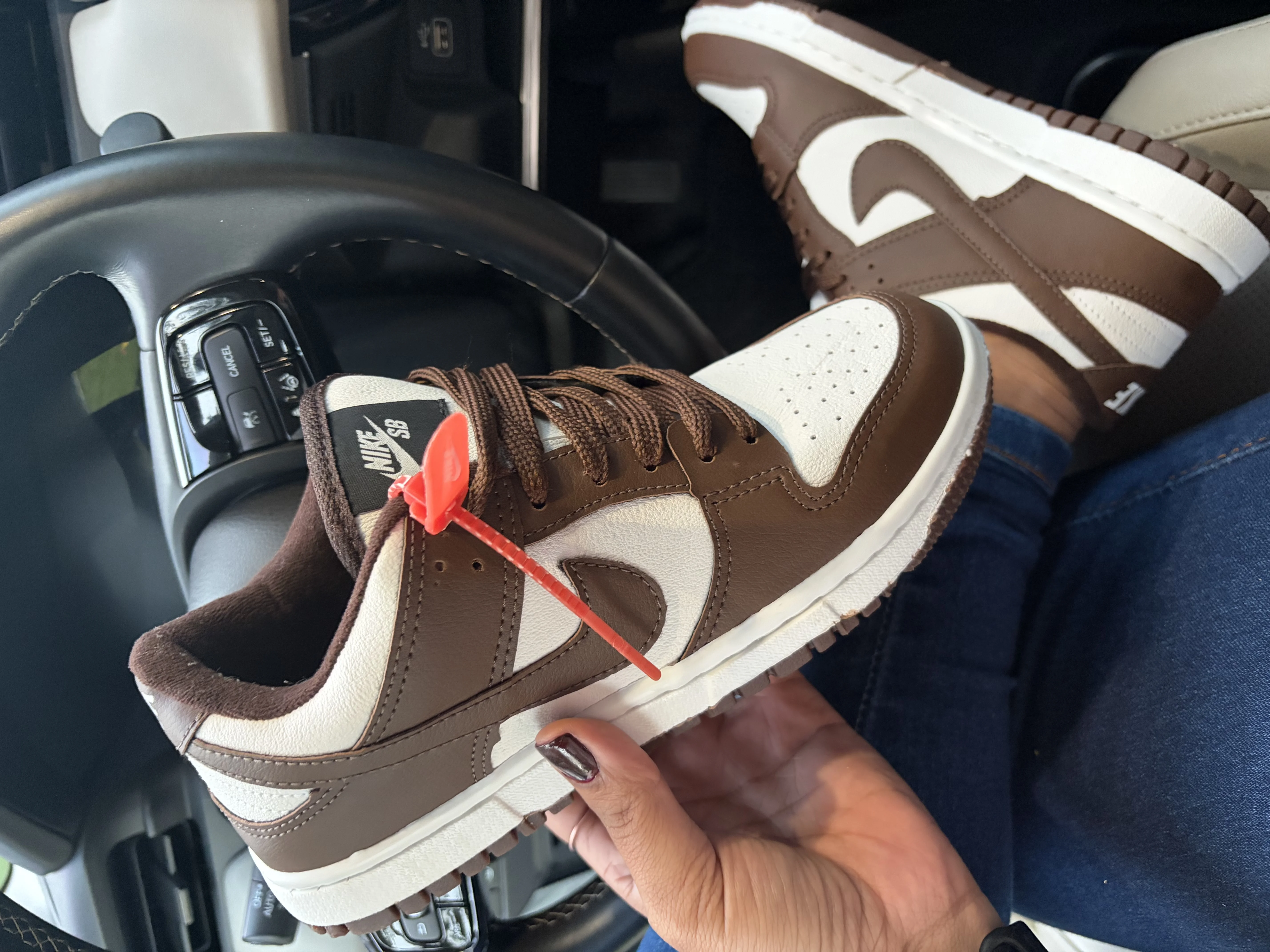 Tênis Nike Dunk Cacau Masculino Casual