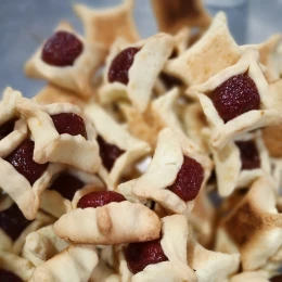 Biscoito Goiabinha Sem Glúten Sem Lactose 150g