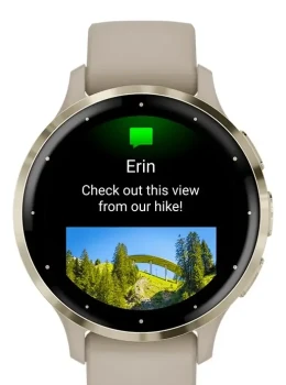 Relógio Garmin Venu 3s Cinza Dourado 41mm